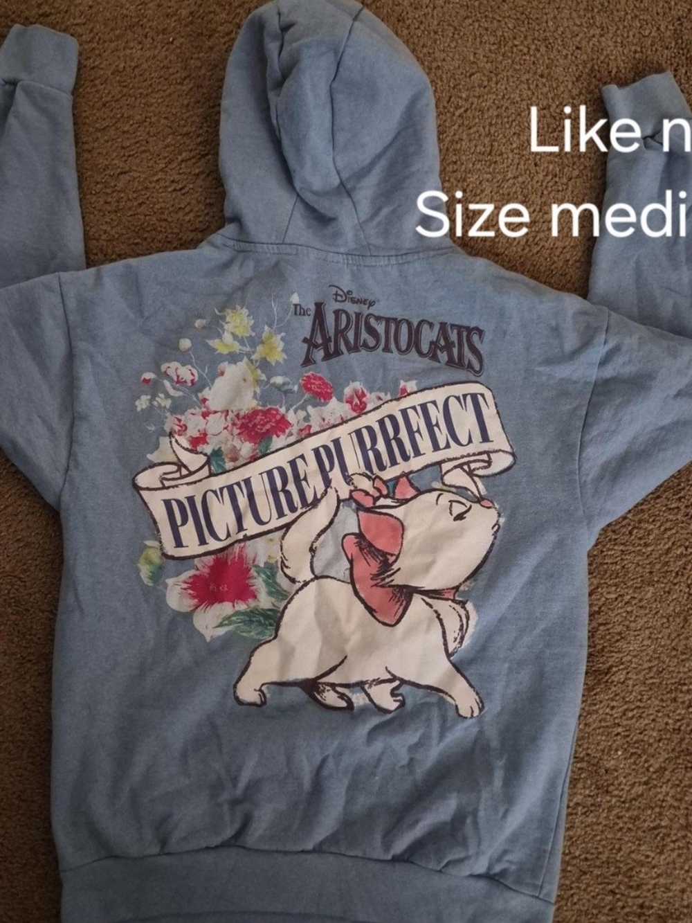 Disney Blue Aristocats 'Picture Purrfect' Hooded Sweatshirt with Pink Accent